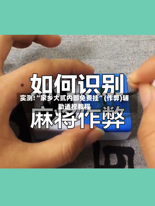 实测!“家乡大贰内部免费挂	”(作弊)辅助透视教程-第2张图片