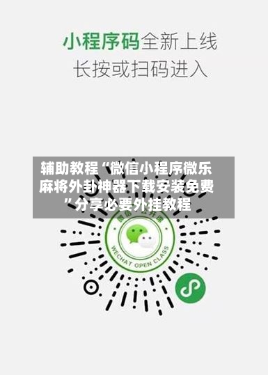 辅助教程“微信小程序微乐麻将外卦神器下载安装免费”分享必要外挂教程-第3张图片