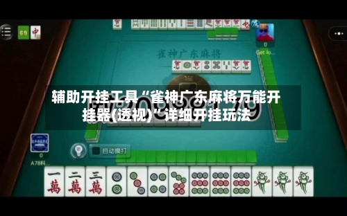 辅助开挂工具“雀神广东麻将万能开挂器(透视)”详细开挂玩法-第2张图片