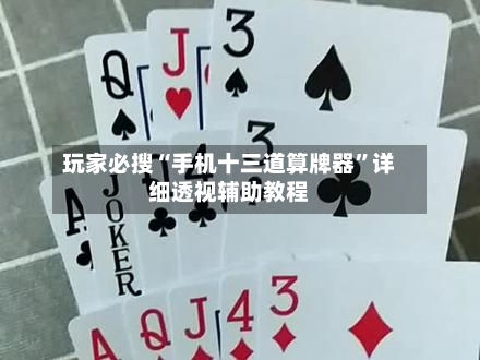 玩家必搜“手机十三道算牌器”详细透视辅助教程-第1张图片