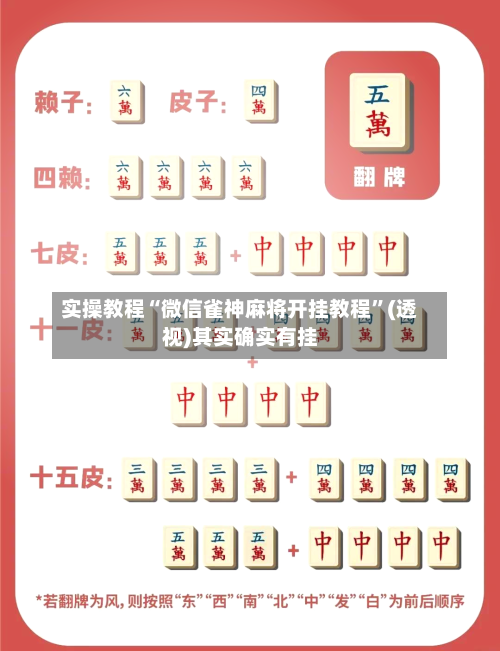 实操教程“微信雀神麻将开挂教程	”(透视)其实确实有挂-第3张图片