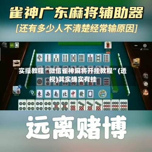 实操教程“微信雀神麻将开挂教程”(透视)其实确实有挂-第2张图片