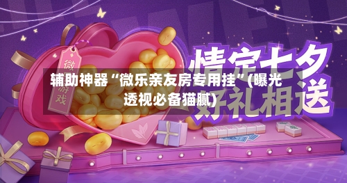 辅助神器“微乐亲友房专用挂”(曝光透视必备猫腻)-第2张图片