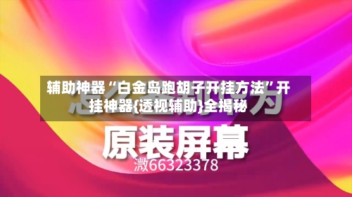 辅助神器“白金岛跑胡子开挂方法”开挂神器{透视辅助}全揭秘-第2张图片