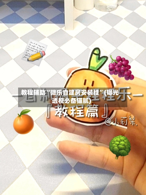 教程辅助“微乐自建房安装挂”(曝光透视必备猫腻)-第3张图片