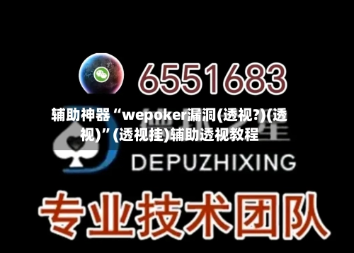 辅助神器“wepoker漏洞(透视?)(透视)”(透视挂)辅助透视教程-第3张图片