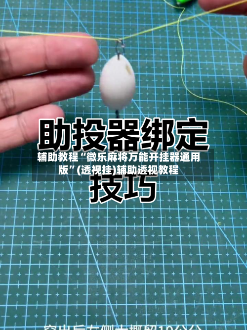 辅助教程“微乐麻将万能开挂器通用版”(透视挂)辅助透视教程-第2张图片