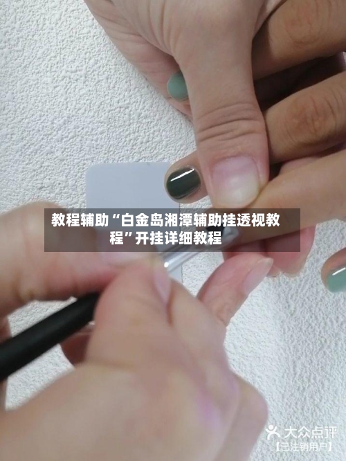 教程辅助“白金岛湘潭辅助挂透视教程”开挂详细教程-第3张图片