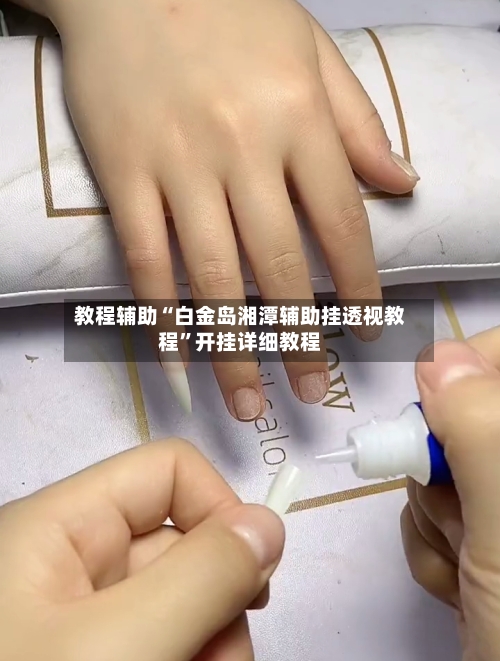 教程辅助“白金岛湘潭辅助挂透视教程”开挂详细教程-第2张图片