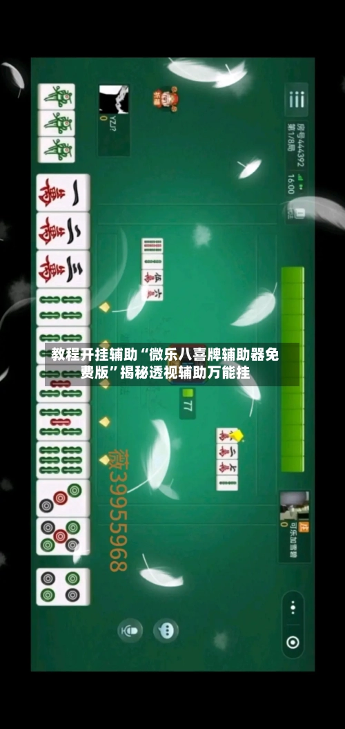 教程开挂辅助“微乐八喜牌辅助器免费版”揭秘透视辅助万能挂-第3张图片