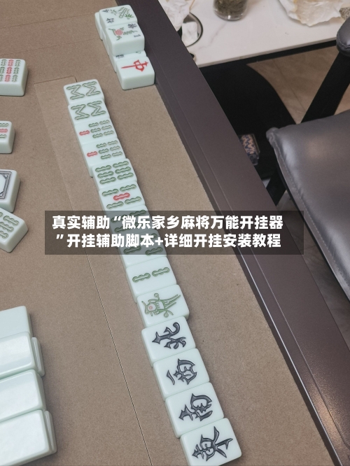 真实辅助“微乐家乡麻将万能开挂器	”开挂辅助脚本+详细开挂安装教程-第2张图片