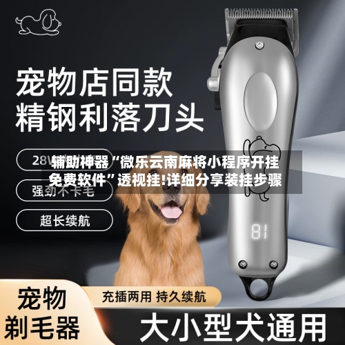 辅助神器“微乐云南麻将小程序开挂免费软件”透视挂!详细分享装挂步骤-第1张图片