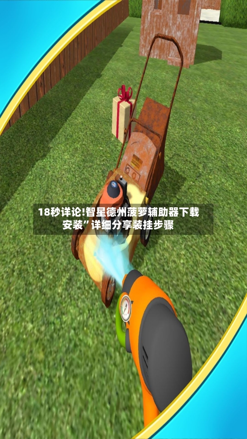 18秒详论!智星德州菠萝辅助器下载安装”详细分享装挂步骤-第2张图片