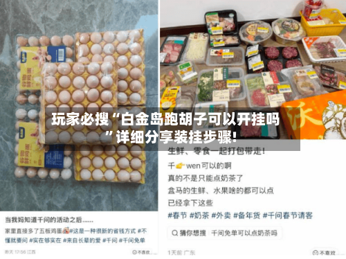 玩家必搜“白金岛跑胡子可以开挂吗”详细分享装挂步骤!-第3张图片