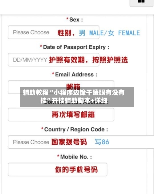 辅助教程“小程序边锋干瞪眼有没有挂”开挂辅助脚本+详细-第2张图片