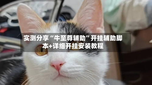 实测分享“牛至尊辅助”开挂辅助脚本+详细开挂安装教程-第3张图片