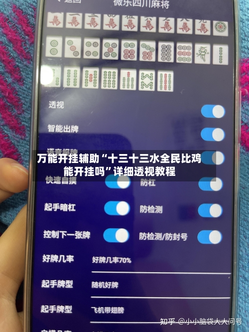 万能开挂辅助“十三十三水全民比鸡能开挂吗”详细透视教程-第2张图片