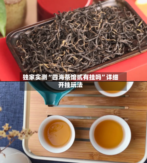 独家实测“四海茶馆贰有挂吗	”详细开挂玩法-第2张图片