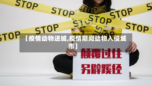 【疫情动物进城,疫情期间动物入侵城市】-第3张图片