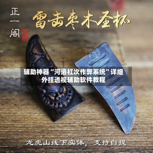 辅助神器“河洛杠次作弊系统	”详细外挂透视辅助软件教程-第2张图片