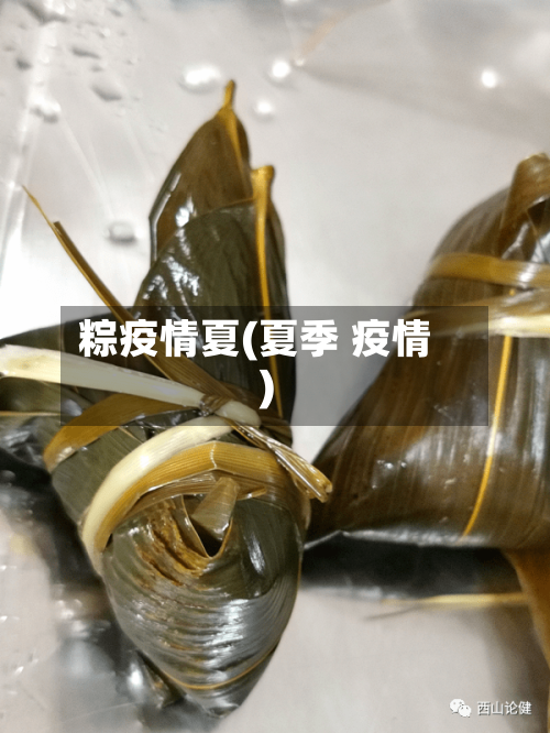 粽疫情夏(夏季 疫情)-第1张图片