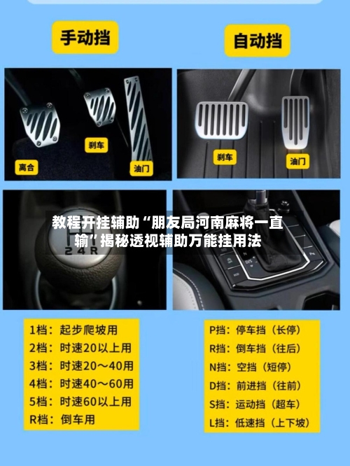 教程开挂辅助“朋友局河南麻将一直输”揭秘透视辅助万能挂用法-第2张图片