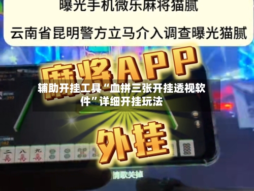 辅助开挂工具“血拼三张开挂透视软件	”详细开挂玩法-第2张图片
