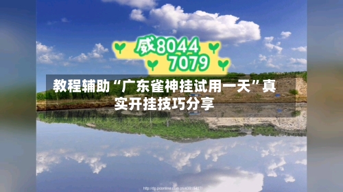 教程辅助“广东雀神挂试用一天”真实开挂技巧分享-第3张图片