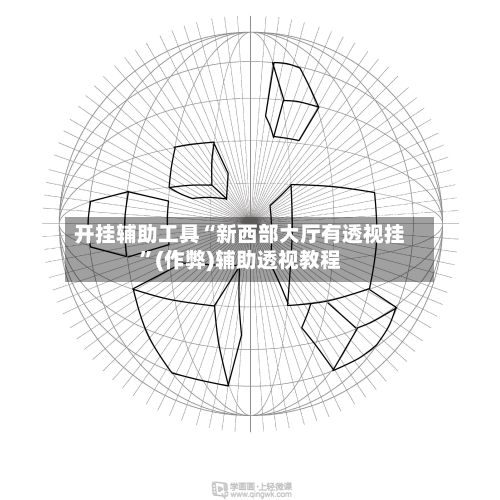 开挂辅助工具“新西部大厅有透视挂”(作弊)辅助透视教程-第1张图片