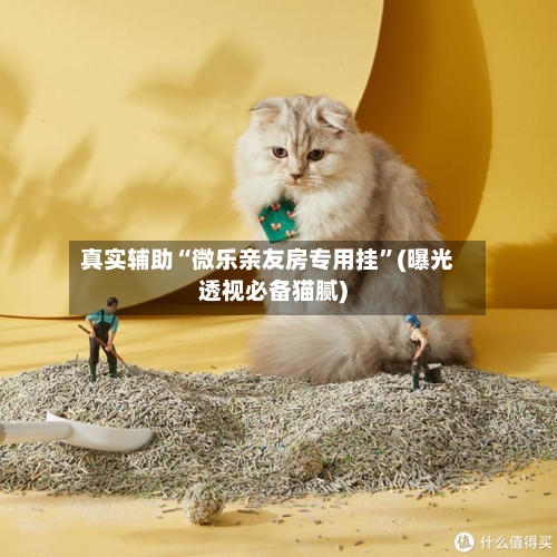 真实辅助“微乐亲友房专用挂	”(曝光透视必备猫腻)-第2张图片