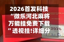 2026首发科技“微乐河北麻将万能挂免费下载”透视挂!详细分享装挂步骤-第2张图片