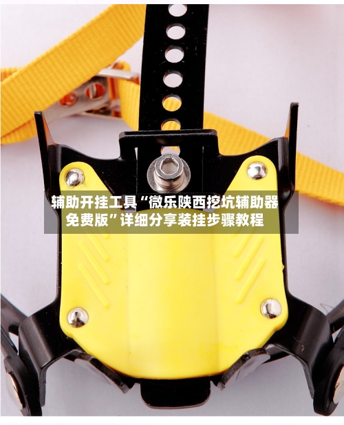 辅助开挂工具“微乐陕西挖坑辅助器免费版”详细分享装挂步骤教程-第1张图片