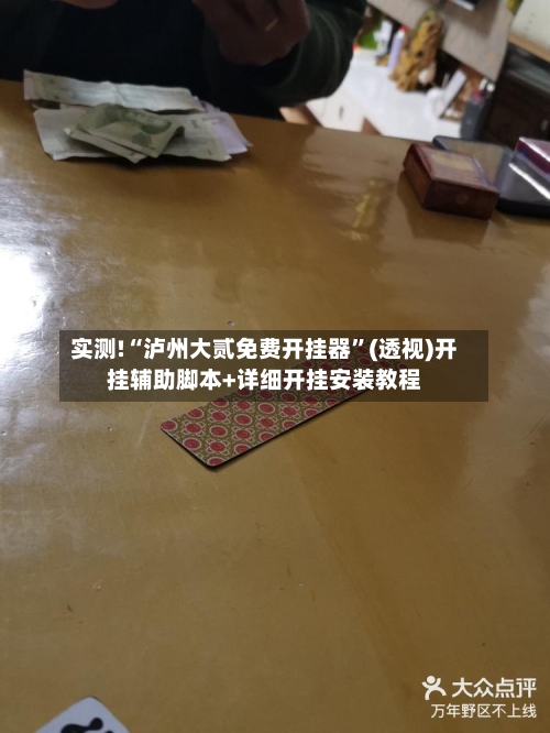实测!“泸州大贰免费开挂器	”(透视)开挂辅助脚本+详细开挂安装教程-第1张图片
