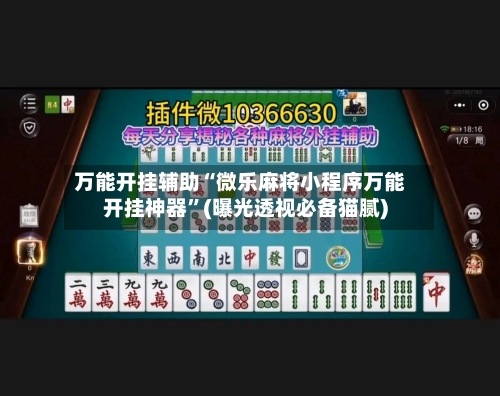 万能开挂辅助“微乐麻将小程序万能开挂神器	”(曝光透视必备猫腻)-第1张图片