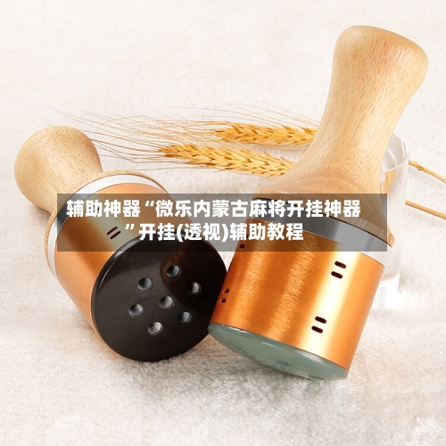 辅助神器“微乐内蒙古麻将开挂神器”开挂(透视)辅助教程-第2张图片