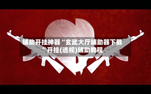 辅助开挂神器“玄武大厅辅助器下载”开挂(透视)辅助教程-第1张图片