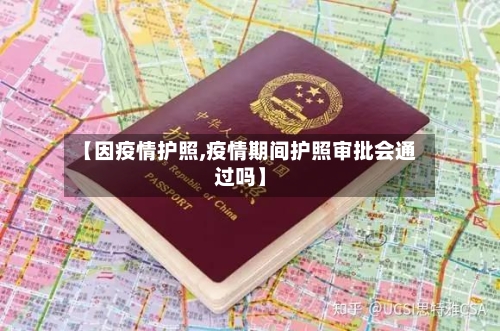 【因疫情护照,疫情期间护照审批会通过吗】-第1张图片