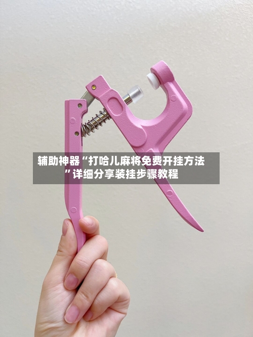 辅助神器“打哈儿麻将免费开挂方法”详细分享装挂步骤教程-第3张图片