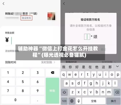辅助神器“微信上打金花怎么开挂教程”(曝光透视必备猫腻)-第2张图片