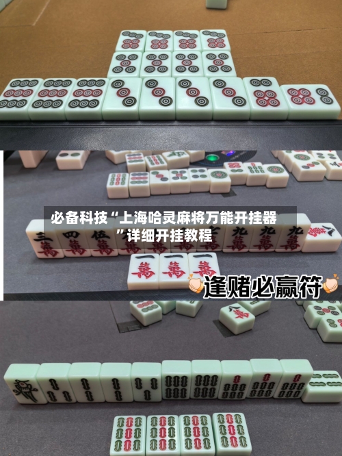 必备科技“上海哈灵麻将万能开挂器”详细开挂教程-第2张图片