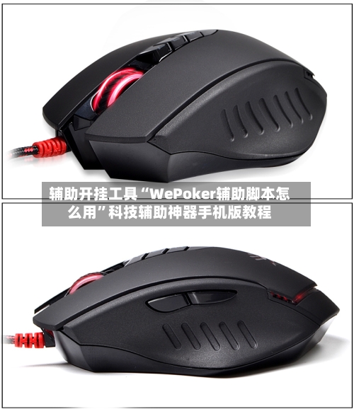 辅助开挂工具“WePoker辅助脚本怎么用”科技辅助神器手机版教程-第2张图片