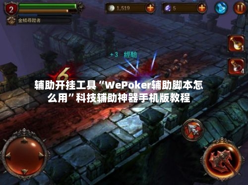 辅助开挂工具“WePoker辅助脚本怎么用”科技辅助神器手机版教程-第3张图片