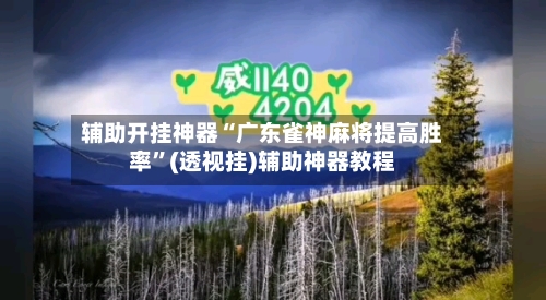 辅助开挂神器“广东雀神麻将提高胜率	”(透视挂)辅助神器教程-第2张图片