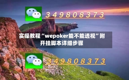 实操教程“wepoker能不能透视	”附开挂脚本详细步骤-第1张图片