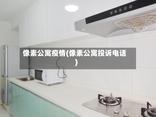 像素公寓疫情(像素公寓投诉电话)-第2张图片