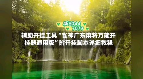 辅助开挂工具“雀神广东麻将万能开挂器通用版”附开挂脚本详细教程-第2张图片