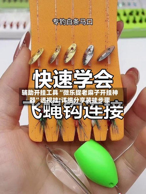辅助开挂工具“微乐捉老麻子开挂神器”透视挂!详细分享装挂步骤-第2张图片