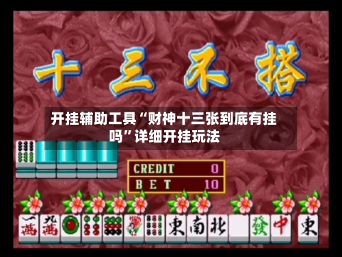 开挂辅助工具“财神十三张到底有挂吗	”详细开挂玩法-第2张图片