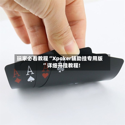 玩家必看教程“Xpoker辅助挂专用版”详细开挂教程!-第3张图片