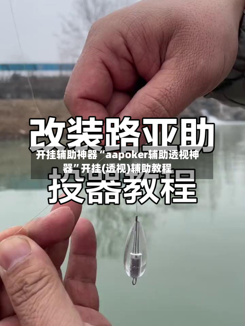 开挂辅助神器“aapoker辅助透视神器”开挂(透视)辅助教程-第2张图片